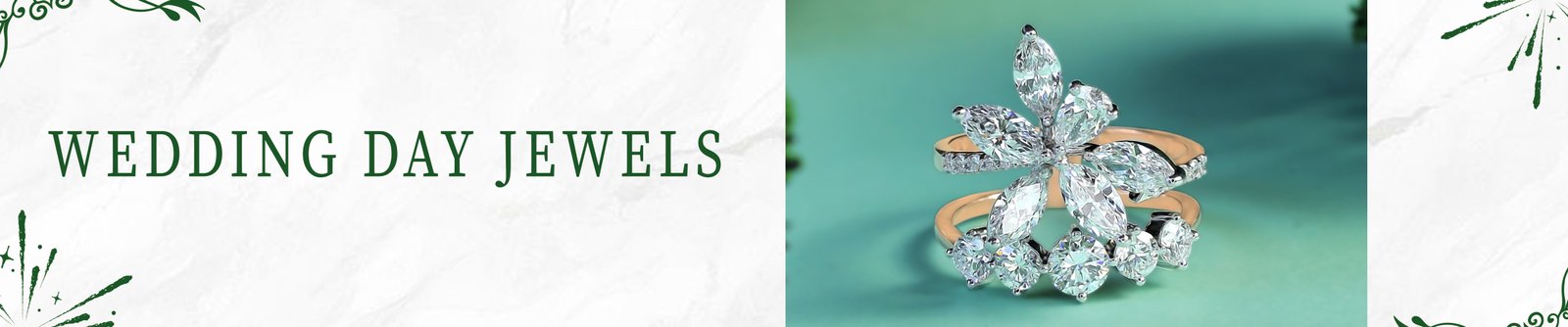 collection-banner